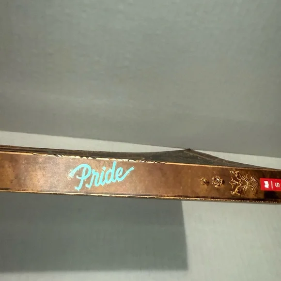 Pride by Ibi Zoboi Book - Picture 3 of 4